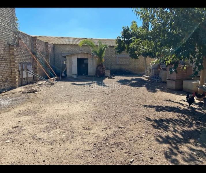 Foto 4a173416-0f51-4a49-a203-897727108721. Nave industrial terreno con nave en Palacios y Villafranca (Los)