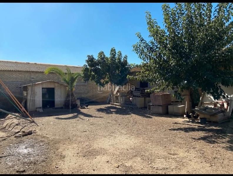 Foto 7f894890-242c-48ca-942f-14496075b588. Nave industrial terreno con nave en Palacios y Villafranca (Los)