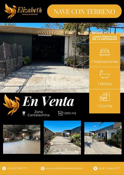 Foto d8c45a17-754b-4718-bf7d-c05f8d3e811f. Nave industrial terreno con nave en Palacios y Villafranca (Los)