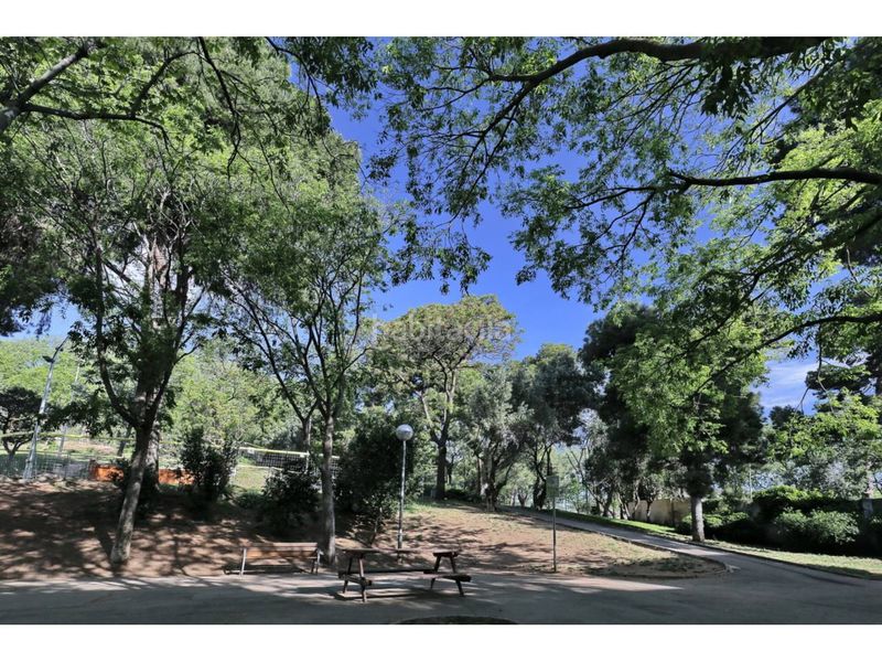 Foto 6cd3d355-6e59-49aa-98ae-3c6ca7fe5bb2. Pis a Turó de la Peira Barcelona