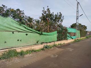 Finca rústica en Calle 23. Vendo parcela en venta el nevero