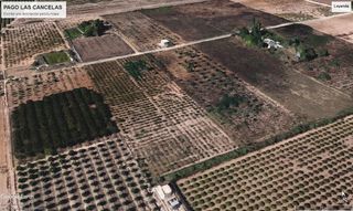 Finca r�stica en Diseminado diseminados 633. Vendo parcela detras de transportes vigar carretara utrera los p