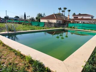 Finca rústica a La Hacienda - Nueva Andalucía. Ven parcela en viña chica