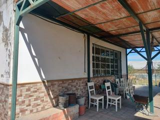 Rural plot in Calle rodrigo caro 31. Vendo parcela con casa en don rodrigo