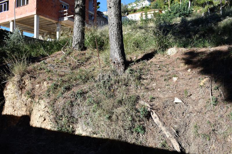 Foto 04ea1ede-b59a-43bb-9219-2281b9d2a904. Terreno residencial urbanizacion alto pinar en Godelleta