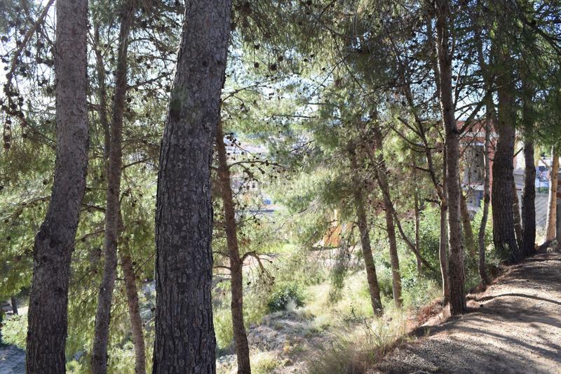 Foto 0f4def92-a1a7-4dfb-928e-d766a7614d6f. Terreno residencial urbanizacion alto pinar en Godelleta