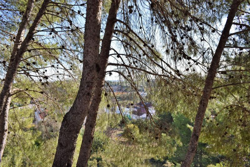 Foto 3116b6af-0bcd-47a2-91ad-21fb502c6992. Terreno residencial urbanizacion alto pinar en Godelleta