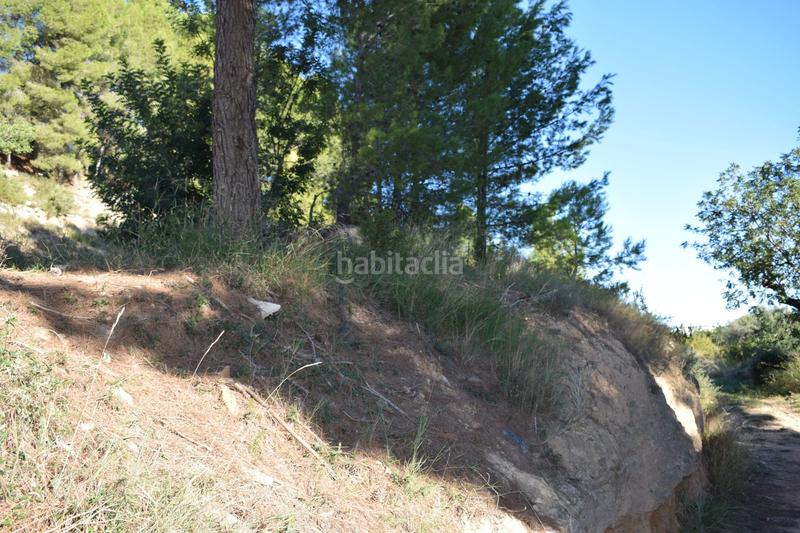 Foto 3ad2d961-0b23-423a-98b0-76133fc09ef3. Terreno residencial urbanizacion alto pinar en Godelleta