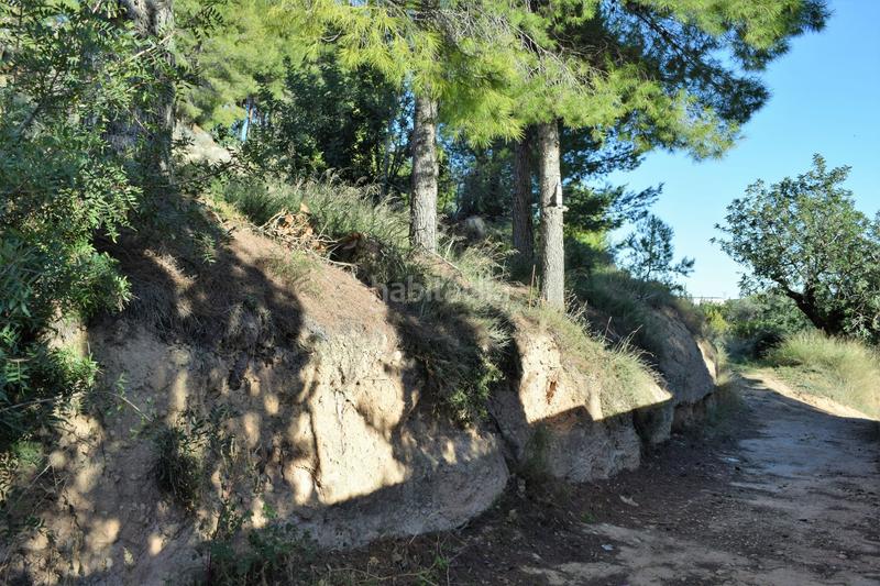 Foto 860f6176-9b3a-4511-bbfc-8be809631f41. Terreno residencial urbanizacion alto pinar en Godelleta