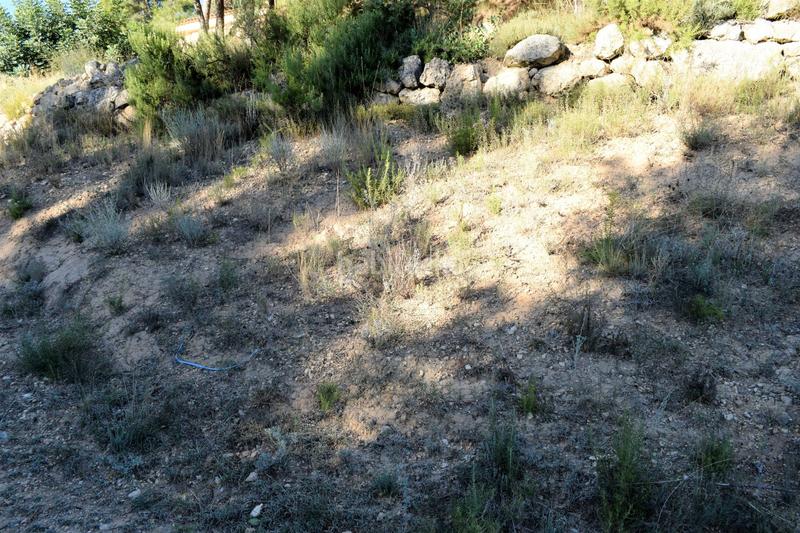 Foto 97b11793-28bc-4358-a004-91d1c533bdc9. Terreno residencial urbanizacion alto pinar en Godelleta