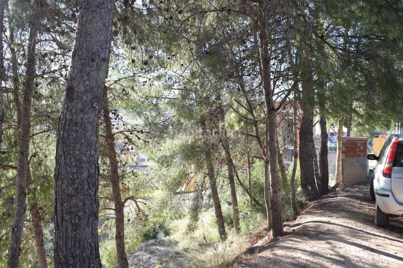 Foto bca3f111-c4ae-49b2-8fce-2d7746064a24. Terreno residencial urbanizacion alto pinar en Godelleta