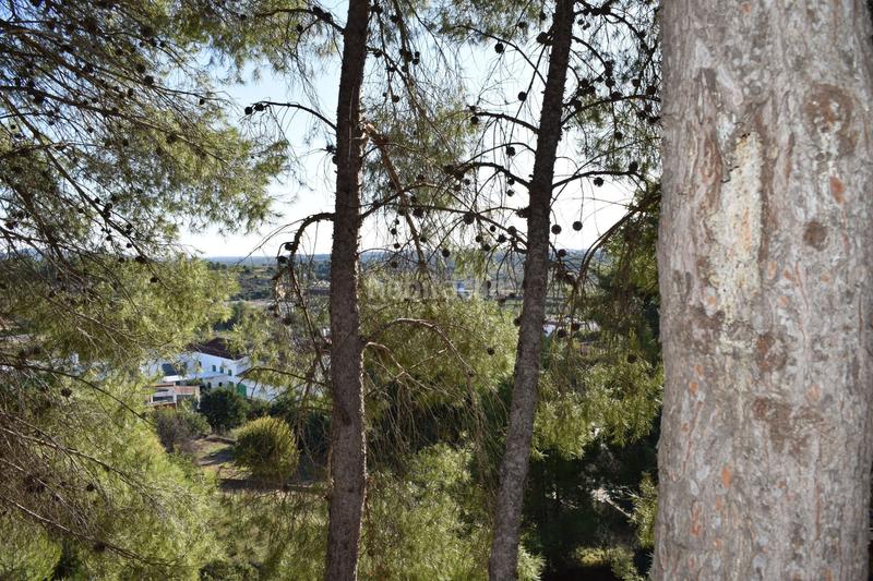 Foto bd7217c0-294c-4616-adf7-bdb311542bc2. Terreno residencial urbanizacion alto pinar en Godelleta