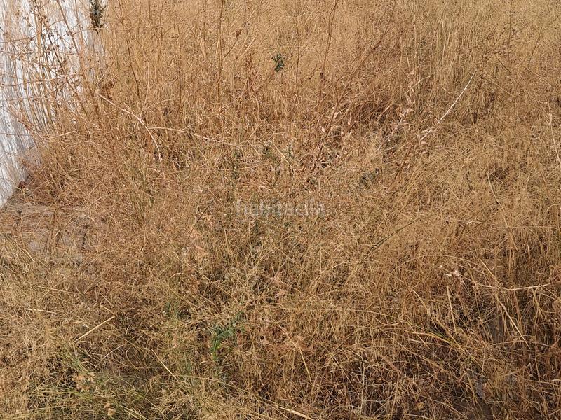 Foto 1567fa2c-a7d8-416d-8d78-79de0ce02995. Residential plot in Centro Fuenlabrada