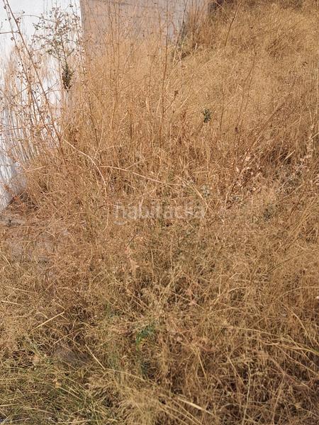 Foto 1b4a8ccb-d6a5-4d3c-8a0d-4eb214dab0d4. Residential plot in Centro Fuenlabrada