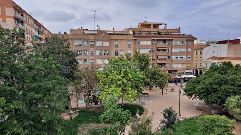 Foto e16e3b62-bcd7-4318-a0e8-8ef4f9e6cbd5. Pis a Malva Rosa Valencia