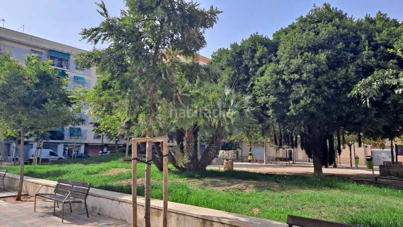 Foto e85c477f-fa33-4e5b-8155-f60f8f594596. Pis a Malva Rosa Valencia