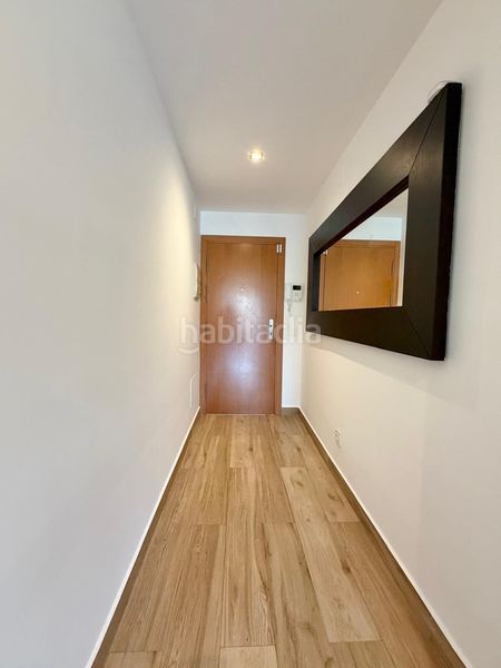 Foto acfffbea-7ff0-44c6-bce1-c33b096e8bb3. Pis a Egara Terrassa