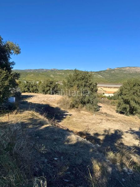 Foto 5e7e4846-1c15-4b61-b828-6ca5d4b6d142. Xalet amb xemeneia calefacció aparcament piscina a Moratalla