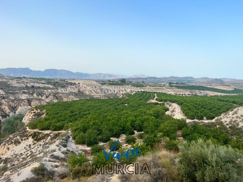 Foto 19ca2b4f-6a6a-4ae4-a263-3549565344d5. Fondo rustico in Cañadas de San Pedro Murcia