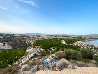 Finca rústica a Cañadas de San Pedro. Coto de caza a la venta