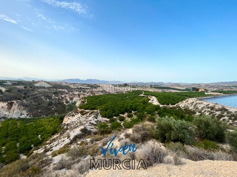 Foto 1d5faad3-57e1-4dd7-8566-8ef1e428af20. Fondo rustico in Cañadas de San Pedro Murcia