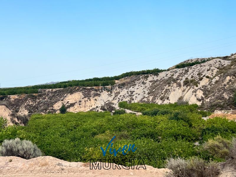 Foto 533ae899-30af-443e-b919-3e7831f90026. Fondo rustico in Cañadas de San Pedro Murcia