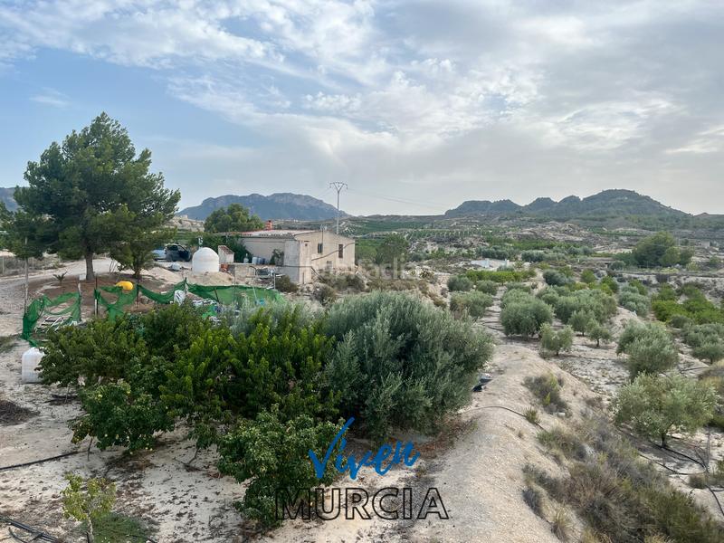 Foto bad7b6ba-b9d7-442b-8278-b246559ec6c8. Fondo rustico in Cañadas de San Pedro Murcia