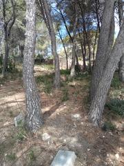 Finca rústica a Avinguda de la torre del veguer 14. Terreno no urbano