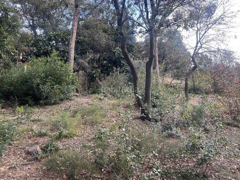 Foto 005ffd38-c076-4f07-8136-4765314b1204. Terrain résidentiel dans Urbanitzacions Argentona