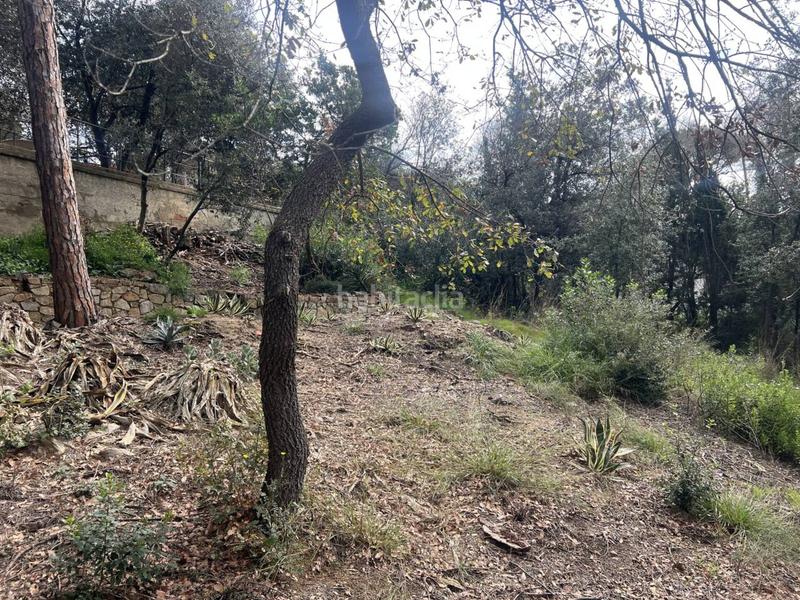 Foto 3d8be4ab-2427-4bb0-bd0a-6a27e1cecab4. Terrain résidentiel dans Urbanitzacions Argentona