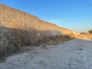 Finca rústica a Los Franceses - La Vega. Terrenos en venta en chiclana de la frontera
