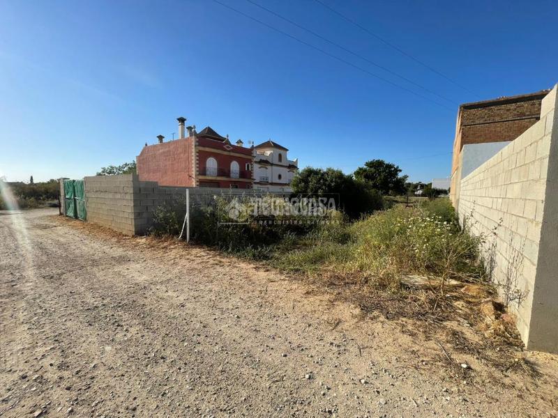 Foto 184ed3f7-161f-4937-afee-f97767511f88. Finca rústica terrenos en venta en Núcleo urbano Chiclana de la Frontera