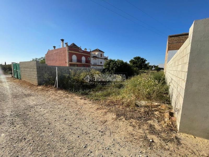Foto 1d1daacb-a1e2-48f2-afe7-9b2f6cd59fe4. Finca rústica terrenos en venta en Núcleo urbano Chiclana de la Frontera