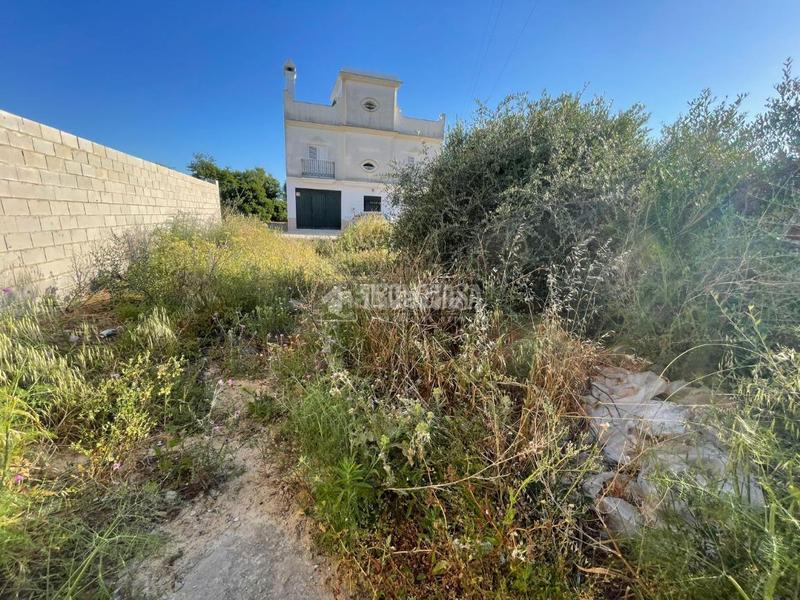 Foto 7e96dea5-5eac-4c67-95f9-3ef4c0ccb5c9. Finca rústica terrenos en venta en Núcleo urbano Chiclana de la Frontera