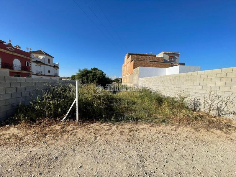 Foto e5198bbd-9a1e-4b30-9d9b-72315bc1fe0e. Finca rústica terrenos en venta en Núcleo urbano Chiclana de la Frontera