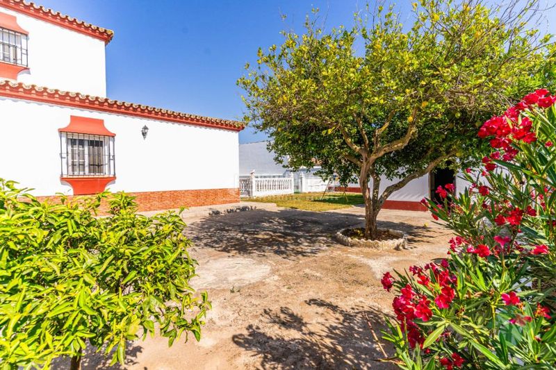 Foto 3a847951-a867-4357-b03b-49bd72c418e2. Masia amb calefacció a Las Lagunas - Campano Chiclana de la Frontera