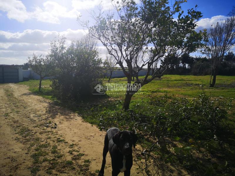 Foto a53e978d-c8db-4aa3-8b22-3764b198058d. Bauernhof mit parking in Los Franceses - La Vega Chiclana de la Frontera