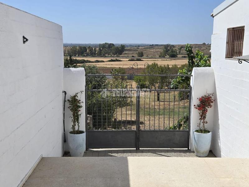 Foto b08e496b-91cc-4c55-b766-6c53dd3236c6. Bauernhof mit parking in Los Franceses - La Vega Chiclana de la Frontera