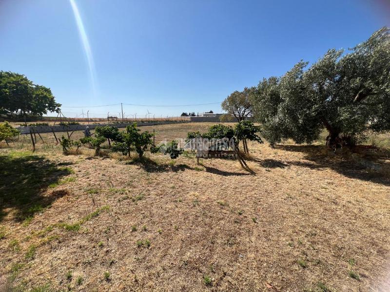 Foto ce6f23c7-d601-43f7-ae19-3dfa29d96eab. Masía casa rural en venta en Los Franceses - La Vega Chiclana de la Frontera