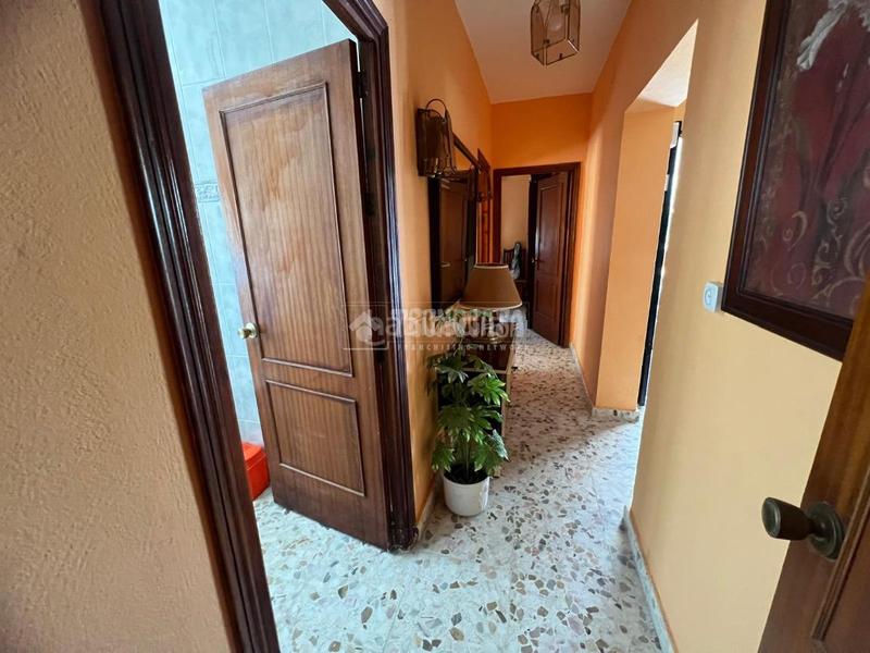 Foto e822bb19-2bf5-4137-be85-f5cb3372764d. Masía casa rural en venta en Los Franceses - La Vega Chiclana de la Frontera