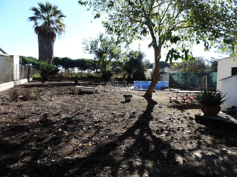 Foto 9b913947-7a72-4f49-982a-f698c2cd13e0. Bauernhof in Los Franceses - La Vega Chiclana de la Frontera