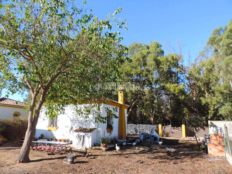 Foto d61565f5-0233-4f8d-888a-83e48b24ed3a. Bauernhof in Los Franceses - La Vega Chiclana de la Frontera