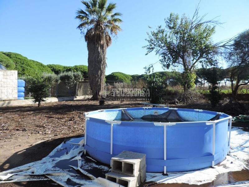 Foto ee8b6800-cc97-448a-830d-51b2ebe168f1. Bauernhof in Los Franceses - La Vega Chiclana de la Frontera