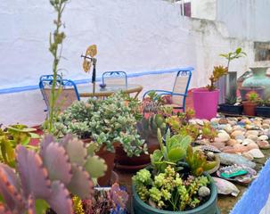 Doppelhaus en Ncleo urbano. Casa en venta en chiclana de la frontera