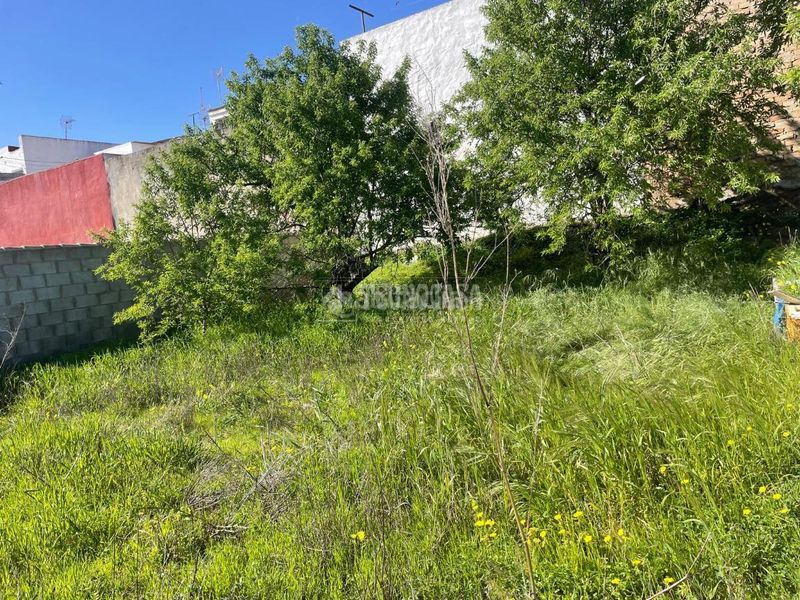 Foto 124915d5-946c-43f9-b50c-5650eba166c1. Finca rústica a La Banda - Campo de Fútbol Chiclana de la Frontera