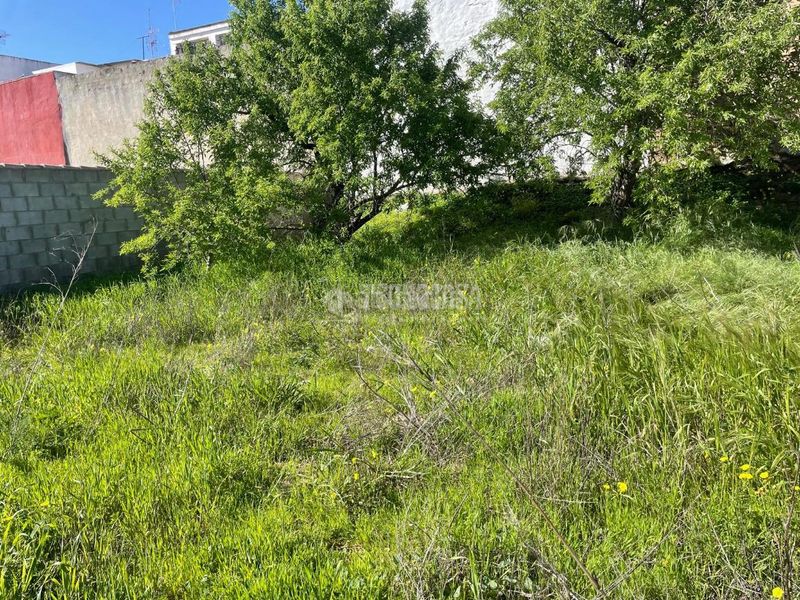 Foto 1c82b1e9-5f41-4dc0-9c08-527e69a84966. Finca rústica a La Banda - Campo de Fútbol Chiclana de la Frontera