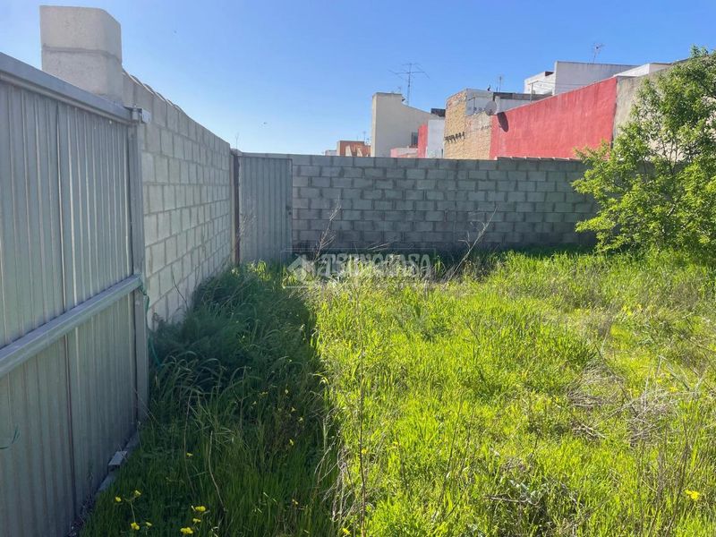 Foto 2c6e1418-a415-4906-868a-a46695425aa1. Finca rústica a La Banda - Campo de Fútbol Chiclana de la Frontera