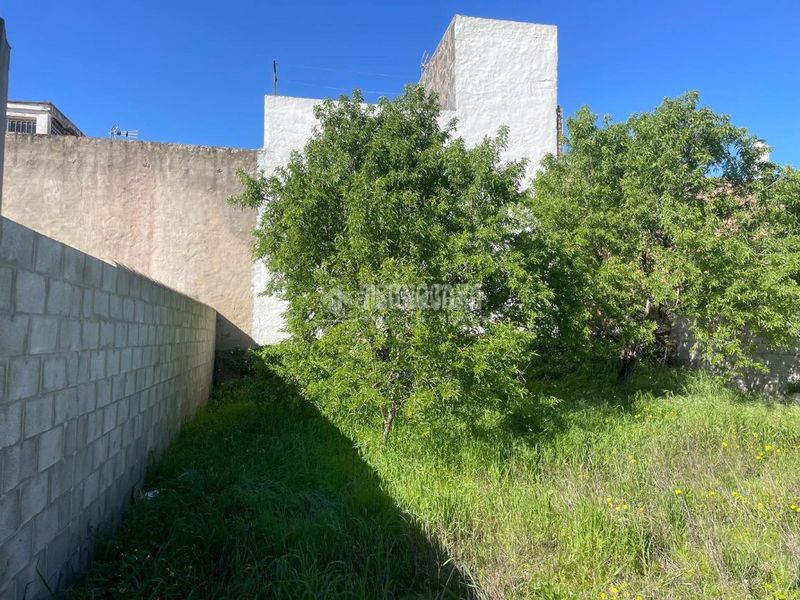 Foto 95b7fef2-46e9-4cac-a813-c9b63004a991. Finca rústica a La Banda - Campo de Fútbol Chiclana de la Frontera