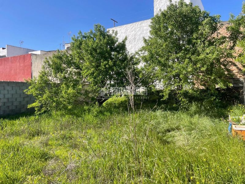 Foto b99e097c-a644-4d2a-b65c-28f128ce3b77. Finca rústica a La Banda - Campo de Fútbol Chiclana de la Frontera