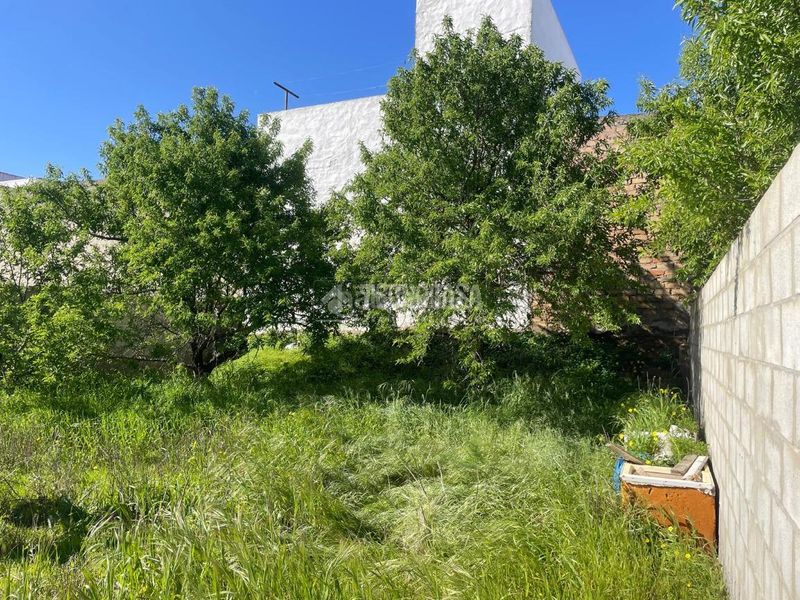 Foto d98f0335-7f57-45f4-8e43-625e63606032. Finca rústica a La Banda - Campo de Fútbol Chiclana de la Frontera